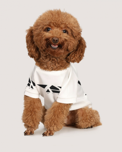 Small Doggie Tee